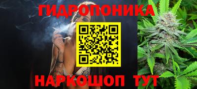 стафф Обнинск