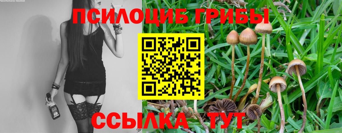Галлюциногенные грибы Magic Shrooms  Вход с VPN  Семилуки  Галлюциногенные грибы Psilocybine cubensis 
